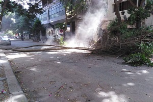5rb p9.jpg