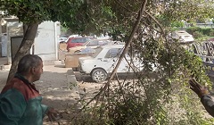 رفع كفاءة الشارع والاهتمام بمنظومة الانارة بنطاق الحى 