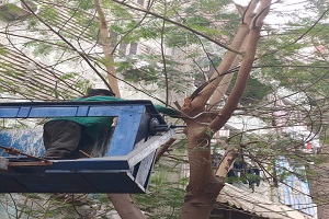 BAB_ALSHA3RYA_DEC2.jpg (2)