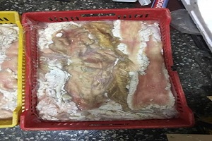 moderit el tab elbetary2.jpg