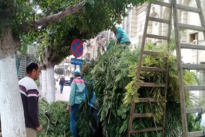 عابدينd.jpg