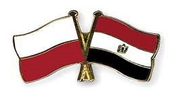 Egypt_poland_consultation_session.jfif
