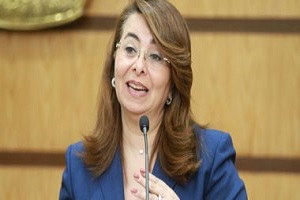 والي: توفير 72 ألف كرتونة رمضانية للأسر الأولى بالرعاية في المحافظات
