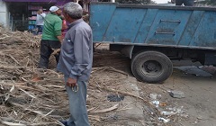 رفع كفاءة النظافه وتقليم النخل بنطاق الحي 