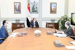 sisi_electric_development.jpg