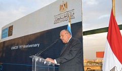 Egypt_FM.jpg (3)