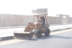 hewan15.11.jpg