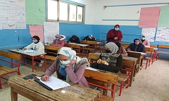 talem25.5.jpg