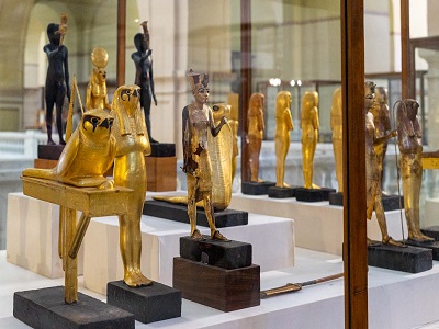 The Museum's collection