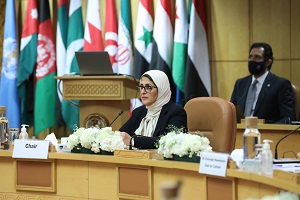 sahaaa12.jpg
