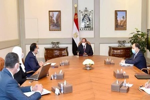 nurseries_in_egypt.jpg