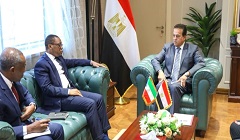 Egypt_Health_Minister_Guinea.jpg