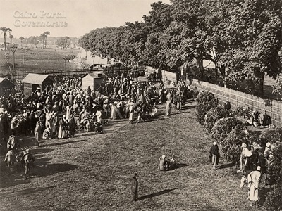 Elzamalek1En