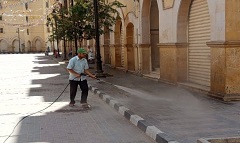 habib.jpg