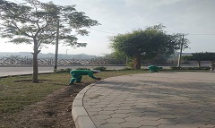 tpeen5.12.jpg