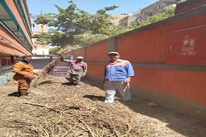 حملة لرفع مستوى النظافةوإزالة الإشغالات من شوارع السيدة زينب 