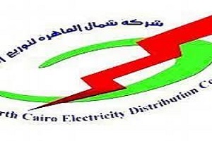 الكهرباء توافق على انشاء شركة خدمات طبية لرعاية ١٧٠ ألف عامل صحياً
