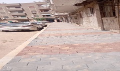 masr20.5.jpg