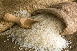 انخفاض أسعار الأرز اعتبارًا من سبتمبر.jpg
