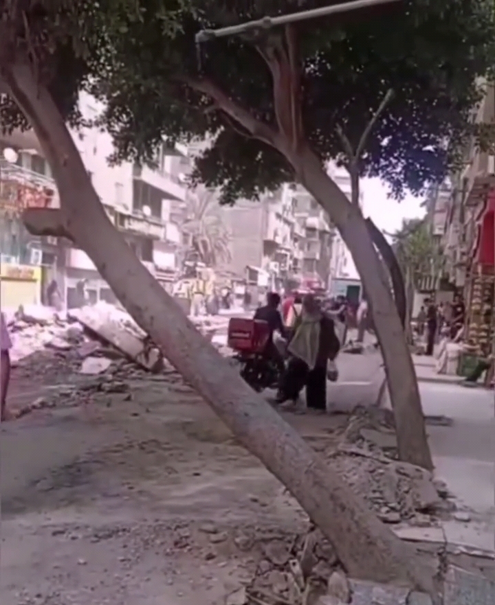 Tree Cut