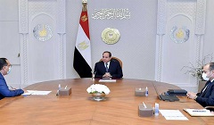 president_sisi_meeting.jpg (2)